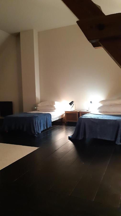 Le Loft Villa Sancergues Ngoại thất bức ảnh